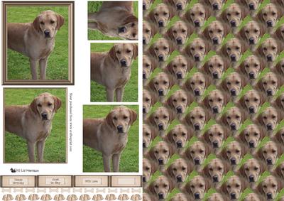Golden Labrador Scene Pyramid with Background