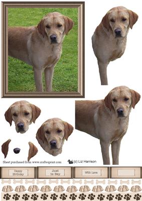 Golden Labrador Scene 3D Decoupage