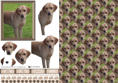 Golden Labrador Scene 3D Decoupage with Background