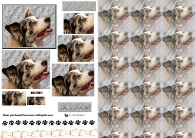 Border Collie Portrait Pyramid with Background