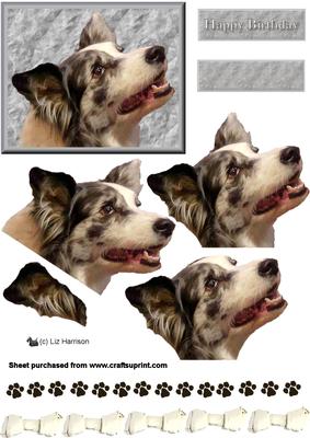 Border Collie Portrait 3D Decoupage