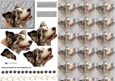 Border Collie Portrait 3D Decoupage with Background