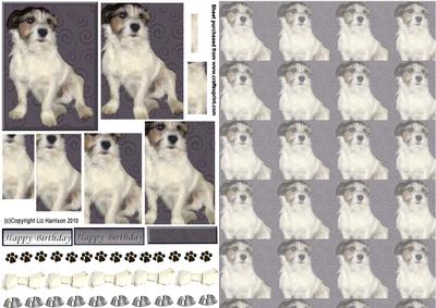 Jack Russell Sitting Pyramid with Background