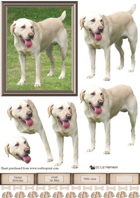 Golden Labrador 3D Decoupage