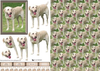 Golden Labrador 1 3D Decoupage with Background