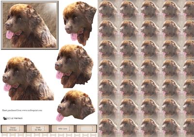 Chocolate Newfoundland Dog 3D Decoupage with Background