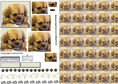 Tibetan Spaniel Pyramid with Background
