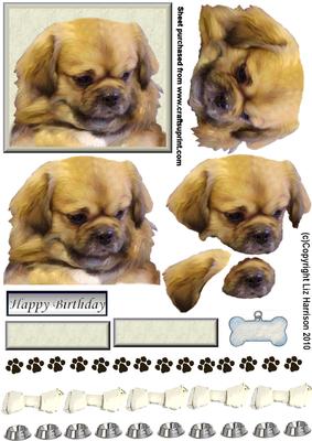 Tibetan Spaniel 3D Decoupage