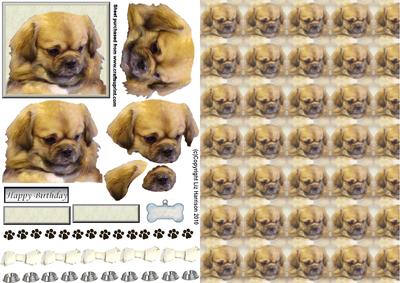 Tibetan Spaniel 3D Decoupage with Background