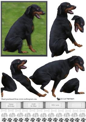 Doberman Pinscher 1 3D Decoupage