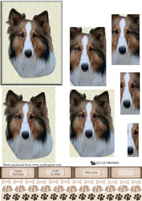 Collie Portrait Pyramid