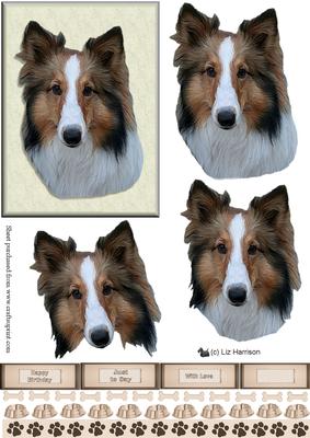 Collie Portrait 3D Decoupage