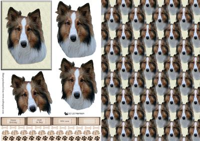 Collie Portrait 3D Decoupage with Background