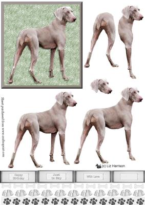 Weimaraner Standing 3D Decoupage
