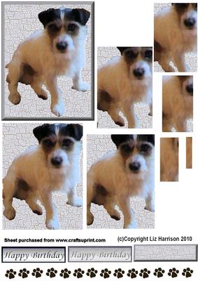 Jack Russell 2 Pyramid