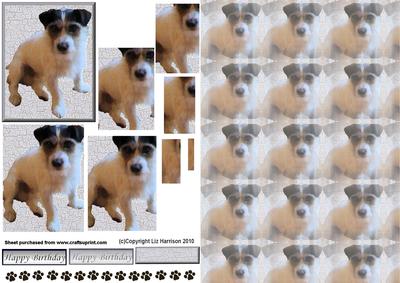 Jack Russell 2 Pyramid with Background
