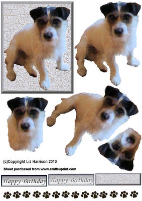 Jack Russell 2 3D Decoupage