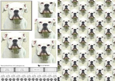 White Boxer Dog Portrait Pyramid with Background