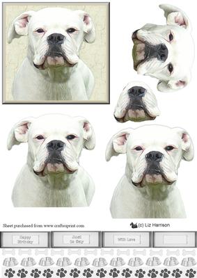 White Boxer Dog Portrait 3D Decoupage