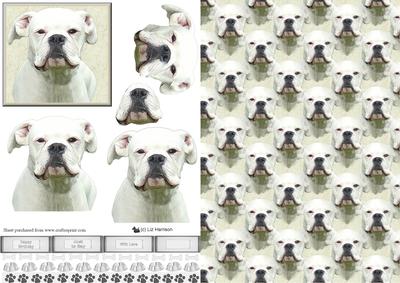 White Boxer Dog Portrait 3D Decoupage with Background
