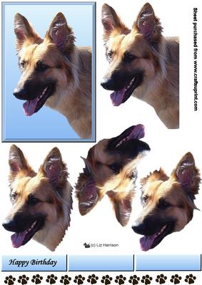 German Shepherd 2 Portrait 3D Decoupage