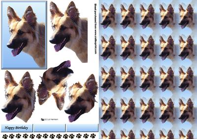 German Shepherd 2 Portrait 3D Decoupage with Background
