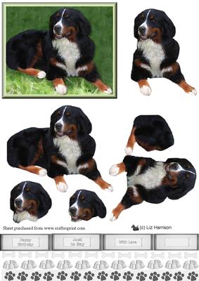 Bernese Mountain Dog 3D Decoupage