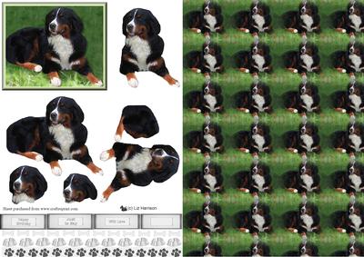Bernese Mountain Dog 3D Decoupage with Background