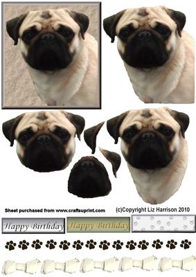 Pug Dog Portrait 3D Decoupage