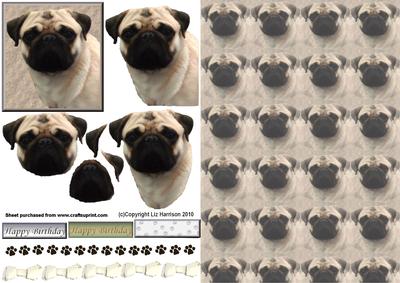 Pug Dog Portrait 3D Decoupage with Background