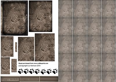 Leopard Portrait Vintage Style Pyramid with Background