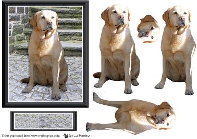 Golden Labrador Scene 3D Decoupage