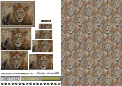 Lion Portrait Pyramid with Background