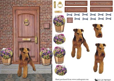 Welsh Terrier on a Door Step