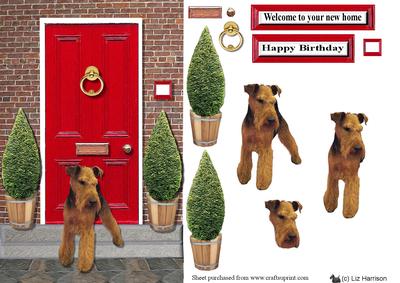 Welsh Terrier with a Red Door