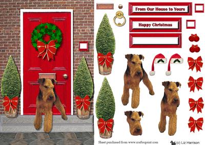 Welsh Terrier on a Christmas Door Step