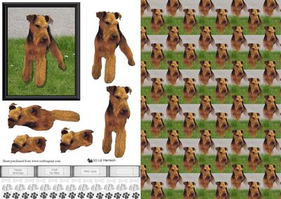 Welsh Terrier 3D Decoupage with Background