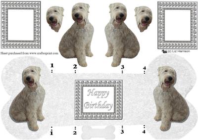Soft Coaten Wheaten Bone Shaped Card