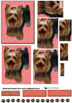 Yorkshire Terrier Pyramid