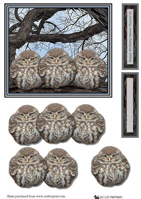3 Little Owls in a Tree 3D Decoupage