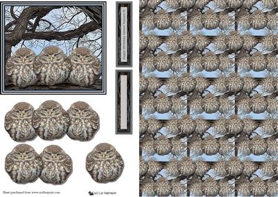 3 Little Owls in a Tree Top 3D Decoupage & Background