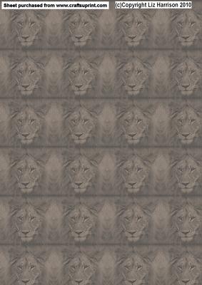 Lion Portrait Vintage Style Background