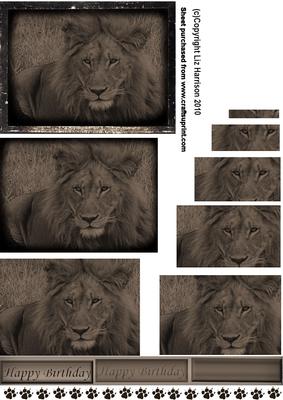 Lion Portrait Vintage Style Pyramid