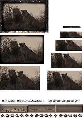 Lion & Lioness Vintage Style Pyramid