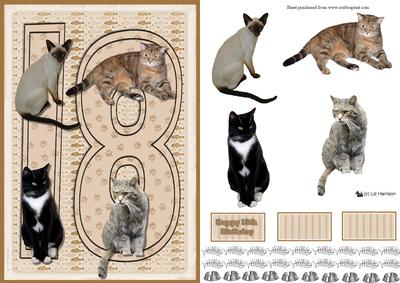 Cat 18th Birthday Cat 3D Decoupage