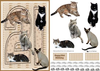 Cats 21st 3D Decoupage