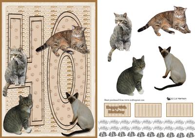 Cats 40th 3D Decoupage