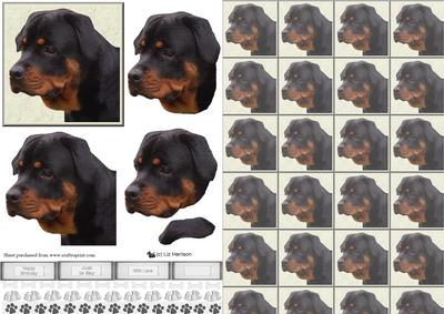 Rottweiler Portrait 3D Decoupage with Background