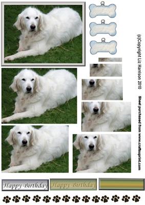 Golden Retriever Relaxing Pyramid