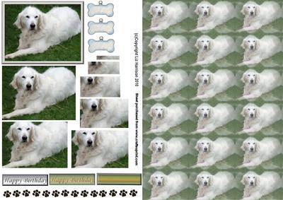Golden Retriever Relaxing Pyramid with Background